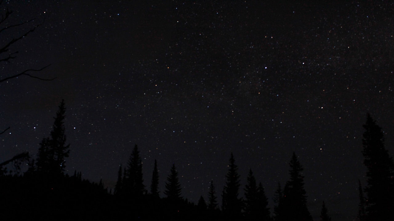 Black Shower Arm: Adding Style To Your Bathroom